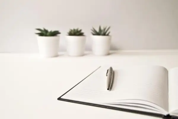 mesa-minimalista-com-plantas-e-caderno